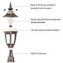 FUDESY 2-Pack FUDESY Outdoor Post Light Pole Lantern Lighting Fixture with E26 Socket 3000K LED Edison Filament Bulb Included (Corded-Electric), Anti Corrosion Plastic Materials, Bronze, FDS2543G