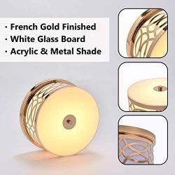 FERWVEW 11.8” Modern 2-Light French Gold Flush Mount Ceiling Light Fixture, Metal Lighting with Acrylic Glass Drum Shade for Bedroom Hallway Living Room Entryway Kitchen Bathroom Stairway