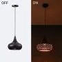 SUNVP Pendant Light Modern Black Semicircle Design Iron Large Ceiling Hanging Lamp Minimalist Style for Kitchen Island Dining Room, Living Room, Bedroom, Coffee Bar