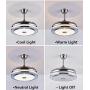 Fandian 42Inch Modern Ceiling Light with Fans Remote Control Retractable Blades for Living Room Bedroom Restaurant, Silver Color with Silent Motor (42In-2)
