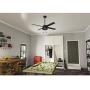 HUNTER 50336 Spring Mill Indoor / Outdoor Ceiling Fan with LED Lights and Pull Chain Control, 52'', Matte Black
