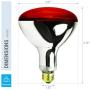 250R40/1 250-Watt, Incandescent R40 Reflector, Clear Head Lamp, Heat Flood Lamp Light Bulb, E26 Standard Medium Screw Base, 120V, 6,000 Hour Rated (Pack of 2-RED-Heat Lamps)