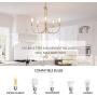 KSANA Large Gold Chandelier, 5-Light Modern Light Fixture for Dining & Living Room, Bedroom, Foyer and Entryway（25” Diameter X 26” Height）
