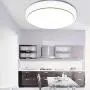 Nordic Style LED Ceiling Light Round Simple Ceiling Lamp Decorative Light for Dining Room Balcony Bedroom