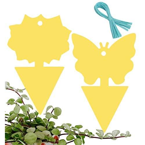 Ckyuna 48 PCS Fly Sticker， Fly Trap for Indoor/Outdoor,Disposable Glue Trappers,Use - Insect Catcher for White Flies, Mosquitos, Fungus Gnats (48)