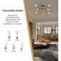 Modern Flush Mount Ceiling Light 8 Lights E26 Base Mid Century Brass Sputnik Chandeliers Semi Flush Mount Ceiling Light Fixture for Kitchen Dining Room Living Room Bedroom