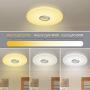 Horevo 36W LED Music Ceiling Light 2800-6000K with Bluetooth Speaker for Kids Room Bedroom, Color Changing Light 2120 LM with Remote Control Ceiling Lamp for Childrens Room