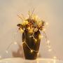33Ft 100 Led Indoor String Light, Warm White Christmas String Light Plug in, 8 Mode Fairy String Light Low Voltage 30V