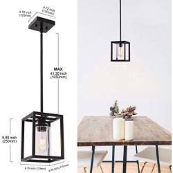 Garwarm 1 Light Rustic Pendant Lighting for Dining Room Farmhouse Kitchen Island Chandelier Modern Cage Hanging Fixtures with Glass Shade Black