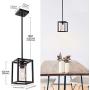 Garwarm 1 Light Rustic Pendant Lighting for Dining Room Farmhouse Kitchen Island Chandelier Modern Cage Hanging Fixtures with Glass Shade Black
