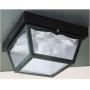 Westinghouse Lighting 6682300 2-Light Porch Clear Glass Panel