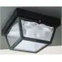 Westinghouse Lighting 6682300 2-Light Porch Clear Glass Panel Westinghouse Lighting 6682300 2-Light Porch Clear Glass Panel