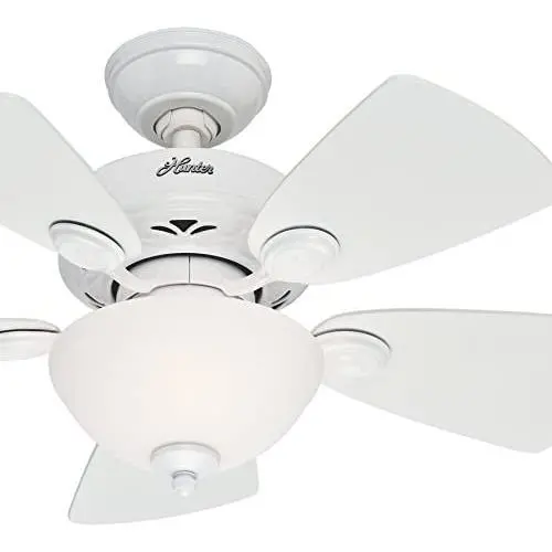 Hunter Fan 34 inch Snow White Finish Ceiling Fan with Painted Cased White Glass Light Kit (Renewed)