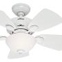Hunter Fan 34 inch Snow White Finish Ceiling Fan with Painted Cased White Glass Light Kit (Renewed)