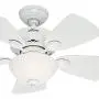 Hunter Fan 34 inch Snow White Finish Ceiling Fan with Painted Cased White Glass Light Kit (Renewed)