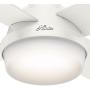 HUNTER 59242 Dempsey Indoor Low Profile Ceiling Fan with LED Light and Remote Control, 52'', White