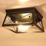HMVPL Industrial Close to Ceiling Light, Farmhouse Light Fixtures Flush Mount Lighting Mini Ceiling Lamp 2-Light for Kitchen Island Dining Room Bedroom Foyer Hallway
