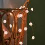 MIYA LIFE Animal Paw String Lights Fairy Cat Claw 10 ft 40 LEDs Copper Wire with The Remote &Timer Girls Bedroom Festive Decor Kid’s Gift Summer Terrace Birthday Halloween Christmas Valentines Day