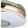 Lighting Groups 42'' Retractable Reversible Ceiling Fans with LED Light Remote Control 4 Invisible Clear ABS Blades Livingroom Dining Room Bedroom Fan Chandelier Indoor Ceiling Light Kits with Fans (42 Inch, Gold-02)