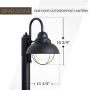 Sea Gull Lighting 8269-12 Sebring One-Light Outdoor Post Lantern Outside Fixture, Black Finish