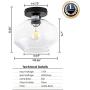 LANROS Industrial Semi-Flush Ceiling Light Fixture with Clear Glass Shade for Dining Room, Bedroom, Cafe, Bar, Corridor, Hallway, Entryway, Passway