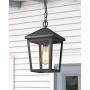 Zeyu Outdoor Pendant Light, Exterior Hanging Light Ceiling Lantern for Hallway Porch, Black Finish with Clear Glass, 20076H