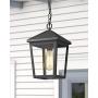 Zeyu Outdoor Pendant Light, Exterior Hanging Light Ceiling Lantern for Hallway Porch, Black Finish with Clear Glass, 20076H