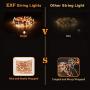 String Lights USB Plug in with Adaptor, 39FT 100 Ultra-Bright and Big LEDs Fairy Lights, Remote Control with 8 Scene Modes, Timer and dimmer Options USB Christmas Lights
