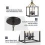 EAPUDUN 4-Light Lantern Pendant Light, Dining Room Chandelier Cage Hanging Ceiling Light, Matte Black&Brass Finish, PDA1275-MBK