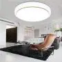 Nordic Style LED Ceiling Light Round Simple Ceiling Lamp Decorative Light for Dining Room Balcony Bedroom