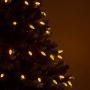 Wintergreen Lighting 70 C6 Gold LED Christmas Lights Indoor-Outdoor Christmas String Lights, 24 Ft, Gold Christmas Lights LED String Lights for Bedroom Dorm Lights