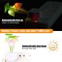 4 Pieces Night Lights 7 Color Changing Plug-in Light Sensor Wall Lamp, LED Mushroom Night Lights Dusk to Dawn Sensor Night Light Wall Lamp for Kid Adult Mushroom Bedroom Bathroom Nightlight Christmas