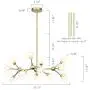 Derksic 12 Lights DNA Chandelier Modern Chandelier with Globe Glass Shade Gold Sputnik Chandelier LED Lighting with 12 G9 Bulbs Included for Dining Room Living Room Kitchen Foyer