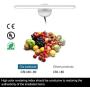MantoLite LED Wall Light,15inch Aluminum Frame Picture Lighting,White Plug-in with Switch for Bathroom Mirror Lamp Fixture Modern Home Restaurant Bedside Wall Lamps Sconces,11W 880LM 3000K