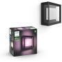 Philips Hue Econic Outdoor White & Color Wall & Ceiling Light Fixture (Hue Hub Required, Works with Alexa, Apple Homekit & Google Assistant)