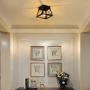 Modern Ceiling Light Black Rustic Ceiling Lighting Fixture Flush Mount with Metal Cage Shade for Hallway Bedroom Dining Room Entryway,E26
