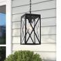 MELUCEE Indoor Outdoor Pendant Light Black Finish, 1-Light Exterior Hanging Light Fixtures Ceiling Lantern with Clear Glass for Porch Hallway Entryway