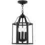 TULUCE Black Farmhouse Pendant Lighting Vintage Style Chandelier 3 Light Ceiling Lamp Adjustable Height Pendant Lamp Fixtures for Kichen Dining Room Bar Cafe