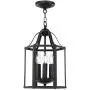 TULUCE Black Farmhouse Pendant Lighting Vintage Style Chandelier 3 Light Ceiling Lamp Adjustable Height Pendant Lamp Fixtures for Kichen Dining Room Bar Cafe