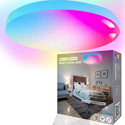 MikeWin Smart Ceiling Light LED Flush Mount WiFi 24W 16 Inch, Compatible with Alexa Google Home, 2400LM Sync to Music 2700-6500K RGBCW Low Profile Ambient Light Fixture for Bedroom Living Room