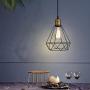 LIGHTESS Plug in Pendant Lights with Dimmer Switch, Industrial Black & Copper Dimmable Hanging Wire Cage Light Fixture for Kitchen Dining Room, LG9925342