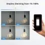 Outdoor Dimmer, Smart Wifi Plug-in Light Dimmer Switch for LED String Light, Wireless Remote Control Dimming-350W, Outdoor Plug Works with Alexa Google Home, IP44 Waterproof/Timer by Smartphone