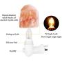 Natural Himalayan Salt Lamp, Waynewon Plug in Hand Carved Crystal Night Light – Best Living Room, Bathroom, Hallway Light [2 Bulbs]