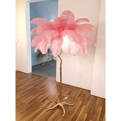 XIHOME Luxury Resin Ostrich Feather Light Decor Feather Floor Lamp Bedroom Nordic Living Room Lamp Dining Floor Lighting Creative Minimalist Dia.120160cm Light Up Life