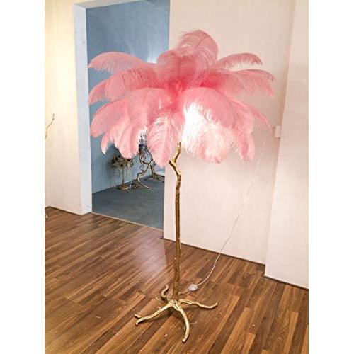 XIHOME Luxury Resin Ostrich Feather Light Decor Feather Floor Lamp Bedroom Nordic Living Room Lamp Dining Floor Lighting Creative Minimalist Dia.120160cm Light Up Life