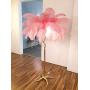 XIHOME Luxury Resin Ostrich Feather Light Decor Feather Floor Lamp Bedroom Nordic Living Room Lamp Dining Floor Lighting Creative Minimalist Dia.120160cm Light Up Life