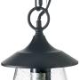 LOG BARN Outdoor Pendant Lights, Porch Fixture in Painted Black Metal with Clear Bubbled Glass Globe, Hanging Lantern Lamp for Gazebo, Entry, Yard