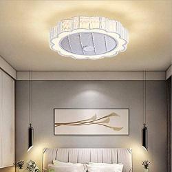 QZFH Invisible Ceiling Fan with Light, Remote Control LED Dimmable lighting Modes, 3 Wind Speeds, Semi Flush Mount 24 inch 60W Low Profile Enclosed Blade Mute Fan Lights for Kitchen, Living Bed Room