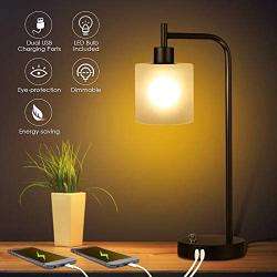 Industrial Lamp,Tomshine Desk Lamp with 2 USB Ports,Stepless Dimmable Vintage Nightstand Lamp, Glass Shade Bedroom Lamp for Bedroom, Living Room