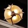 3-Lights Resin Antler Glass Chandelier Retro Restaurant Pendant Light Living Room Bedroom Decor Ceiling Light Fixtures Kitchen Island Lighting